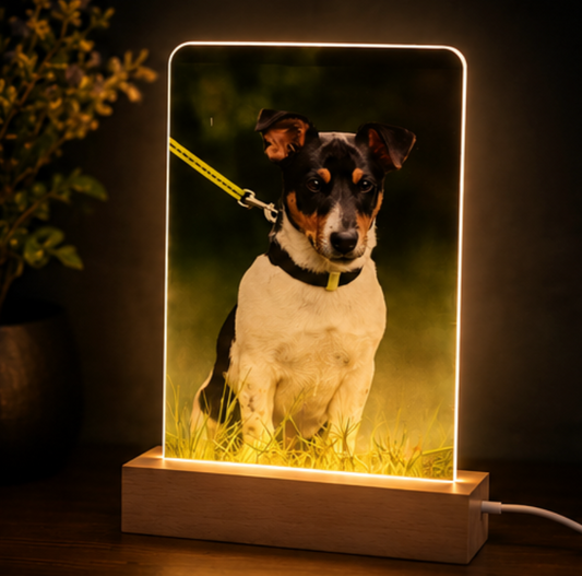 Verlichte gepersonaliseerde acrylplaat van Studio Bryan met naam of tekst, helder verlicht en perfect voor decoratie.